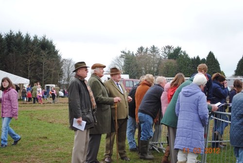 PTPWWales's profile picture. News and updates for those interested in Welsh Point to Pointing