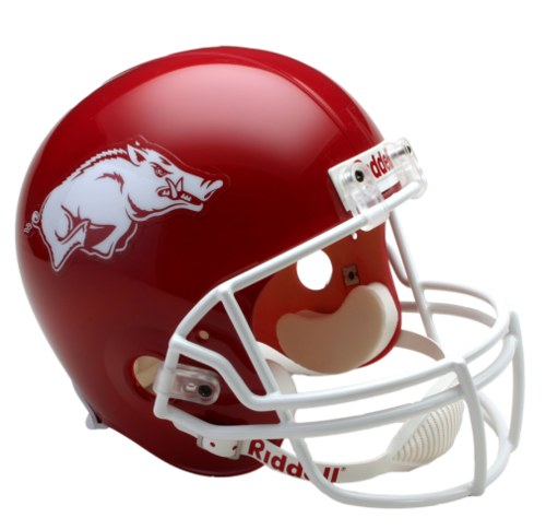 Razorback fanatic and sports video junkie! #WooPigSooie