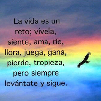 Que nunca te abandonen el amor y la verdad, llevalos siempre alrrededor de tu cuello y escribelos en el libro de tu corazón. Proverbios 3:3