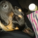 holly mccarthy - @MccarthyHolly - Twitter