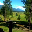 BILL HAASE - @haase_w - Twitter