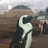 0904Speeder's profile image