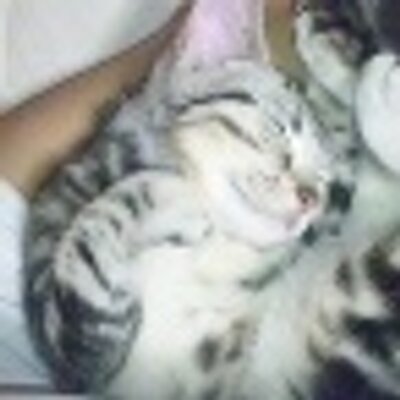 あみかけさん Twitter あみかけさん Twitter