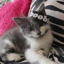 Christopher Bergman - @Chris_b3rgman - Twitter