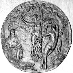 SanLucia11's profile picture. 