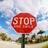 blondie_craze's profile image