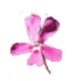 SIERRASdeCAZORLA.COM (@cazorlaysegura) Twitter profile photo SIERRASdeCAZORLA.COM (@cazorlaysegura) Twitter profile photo