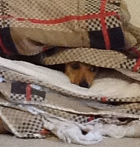 dmarie191962's profile picture. 