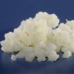 kefir_tanesi's profile picture. 