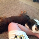 Jonathan Wesson - @jedivalkyrie - Twitter