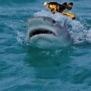 AJ Keefe - @Angusjameskeefe - Twitter