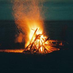 SummerCamp6's profile picture. Foro de Rol Summer Camp