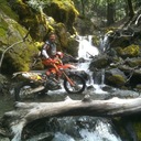 Pat Chalmers - @PatChalmers1 - Twitter