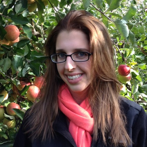 Wife. Lowcountry Transplant. Lover of Nature and Tasty Food. Traveler. Baker. Fundraiser. [Jeremiah 29:11]
