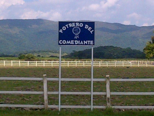 Haras ubicado en el Edo. Aragua, dedicados a la cría y venta de caballos Pura Sangre de Carreras. Cada día mejorando nuestra cría y genética