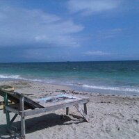 Suzie Wong (@suziewongja) 's Twitter Profile