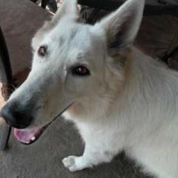 Breathislife's profile picture. Breathe. Everyone and Everything is Breathing. Support all that breathe for a Life of #Dignity. See #JourneyToLife and #EqualMoney