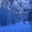 emanuel tapia - @enanitomanu - Twitter