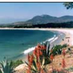 Pichidangui es un balneario que queda a la entrada de la 4° región donde están todos invitados a venir a Disfrutar de su Tranquilidad y Turismo que ofrece.