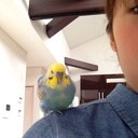 もり (@0104_chi) Twitter