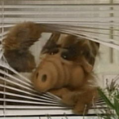 IGNITERCREATIVE's profile picture. Anime Lover