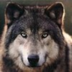 nakamacooler's profile picture. 夏は、ダイエットつらいなー。だって、ビールがおいしくて飲んじゃうから。
#相互100
#相互フォロー 
#フォロー返し
#フォロバ100 
#相互支援
#フォローした人全員フォロー