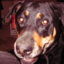 tyler shelley - @usarmy4909 - Twitter