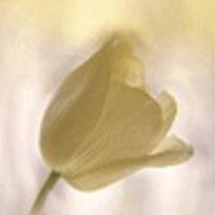 計画しよう。なんでも、実現したいことを計画して実行するのだ。少し、ずれても修正して遂行していくのだ。
#相互支援
#相互フォロー 
#フォロバ
#フォロバ100 
#固定RT
#フォローした人全員フォローする 
#フォロー返し