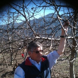 Perezmarcant's profile picture. 