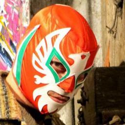 artista visual dibujante ilustrador  y enmascarado.
Arte ecologico y sustentable con deshechos 
Arte tradicional en pintura 
Muralista