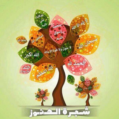 ريتويت لكل ماهو مفيد