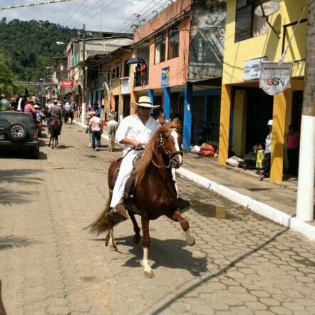 ABOGADO