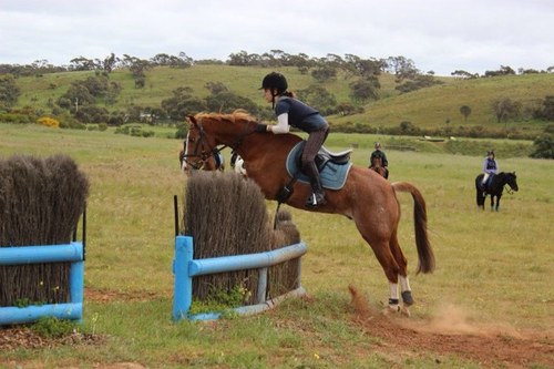 Pony Club Mum, Groom and Horse Float Tow-er!!!