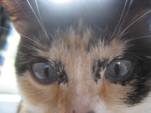 Axisor's profile picture. 