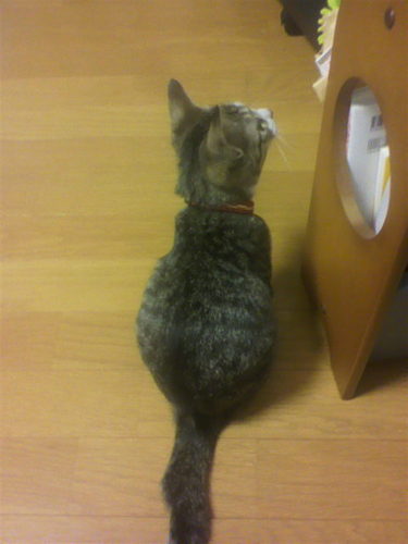 machaco86's profile picture. たまに適当につぶやくことがあります。
適当にご覧下さい。