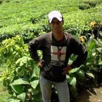 pet'z pratama (@petz_pratama) 's Twitter Profile