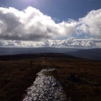 Sven Linfoot (@slinfoot) 's Twitter Profile