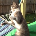 Amber Herbert - @amba_star65 - Twitter