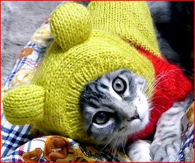 МОНЕТИЗАЦИЯ АБСОЛЮТНО ВСЕХ СОЦИАЛОК http://t.co/521dYzNwdN #rufollowback