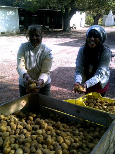 FruitVeg_CBM's profile picture. Mom & daughter duo. We bring you lovely, fresh fruit & veggies straight from the farm. Thurs 4pm-8:30pm, Sat 9am-2pm City Bowl Market on Hope St