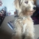 caitlin north - @caitlin_north1 - Twitter