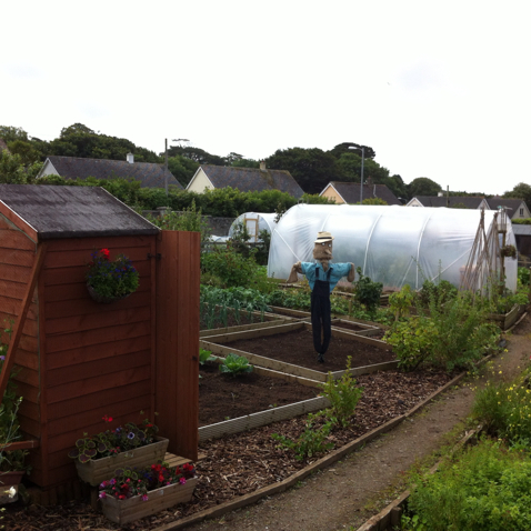 CCathyanne123's profile picture. Love keeping, breeding and showing chickens, making home made jams and preserves, cooking, especially pasties! And growing fruit and veg up the allotment.