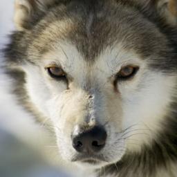 DavidHelde's profile picture. Love the weekends!