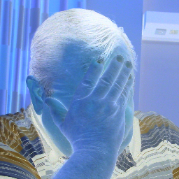 bereitgestellt's profile picture. 