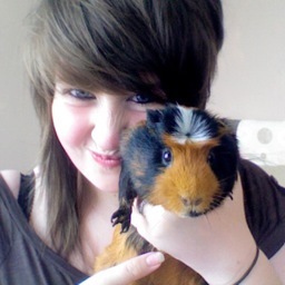 Aaron.Maclean. && Guinea Piggles. 

.Student Veterinary Nurse.