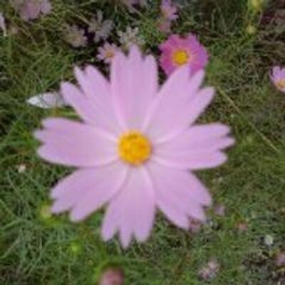 海 石川県金沢のユザワヤ閉店 悲しいでも 金沢のyamadaの近くに手芸店がありました O スタイルリストゴトウです 金沢 ビーンズも近くに有るからダブル嬉しいです 手芸店と本屋ゴー 海 石川県金沢のユザワヤ閉店 悲しいでも 金沢のyamadaの近くに手芸店がありました O スタイルリストゴトウです 金沢 ビーンズも近くに有るからダブル嬉しいです 手芸店と本屋ゴー