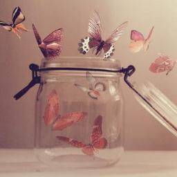 Love,Life,Laugh