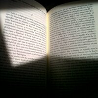 Marco Antonio (@marco_ant_1977) 's Twitter Profile