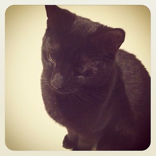 deborah_cooley's profile picture. 