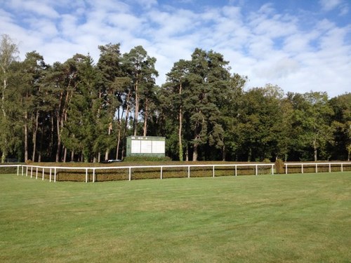 HippodromeduPin's profile picture. Courses de cheveaux plat et obstacles.